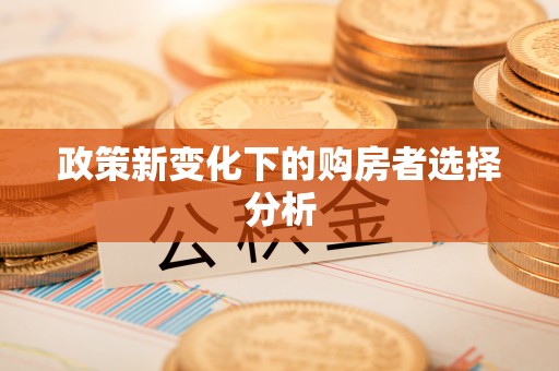 房产政策新变化下的购房者选择分析